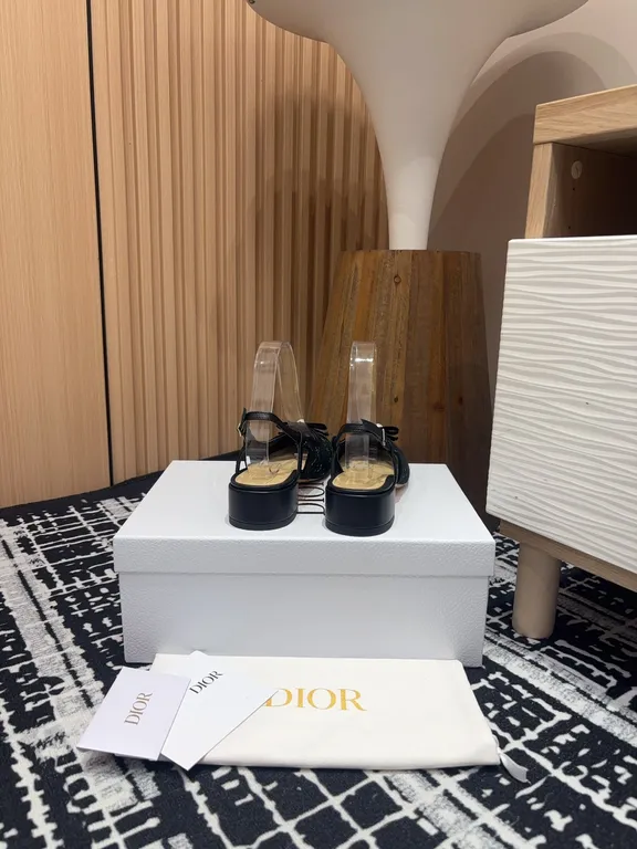 Dior Shoe 